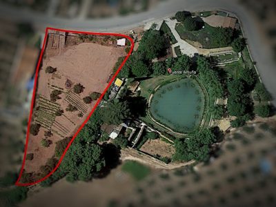 Finca rústica zona Jaen Alcaudete-01124-1