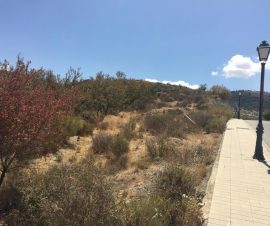 Solar zona Urbanización Cañadas del Parque Dilar-05949-1